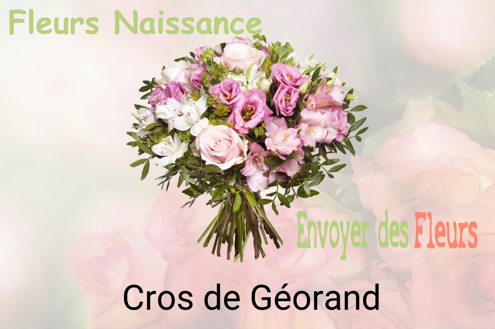 Bouquet de fleurs de naissance livré à Cros-de-Géorand