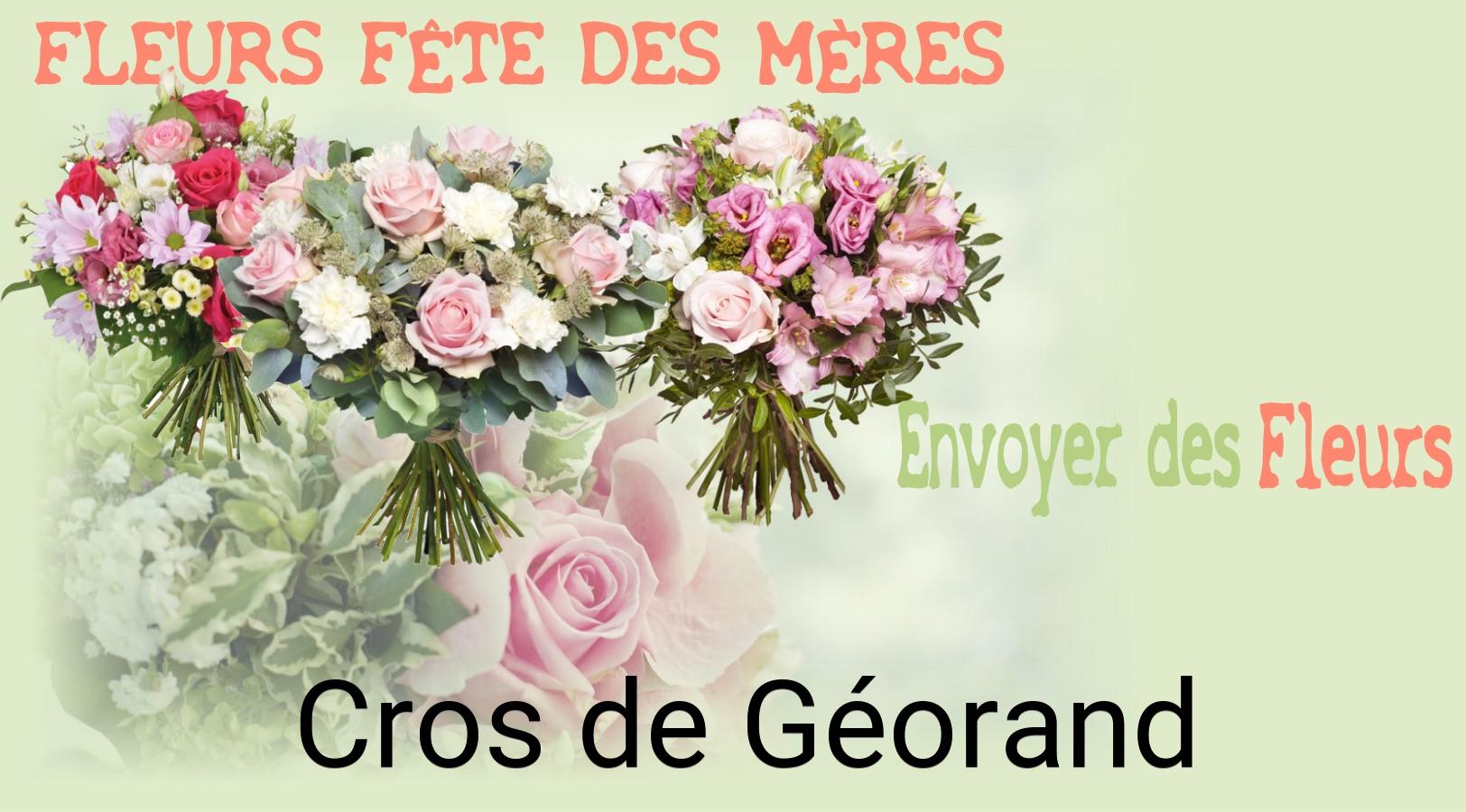 Bouquet de Fête des Mères livré à Cros-de-Géorand